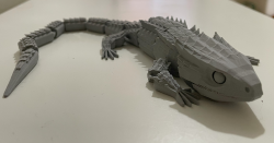 lizard